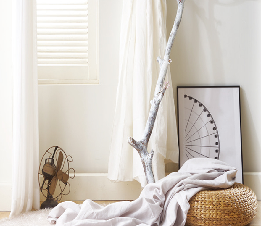 ȸ��Ұ� ��� �̹���